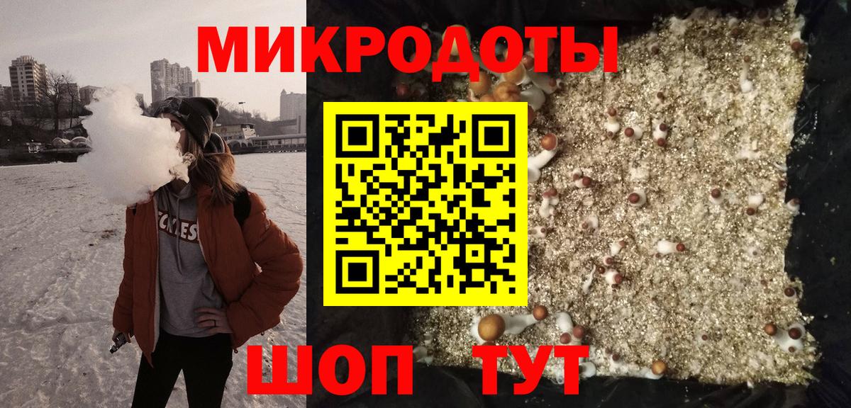 Качканар  Псилоцибиновые грибы Psilocybe  Вход с VPN 