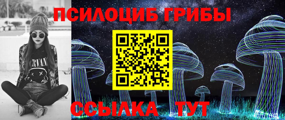 Псилоцибиновые грибы Cubensis Качканар